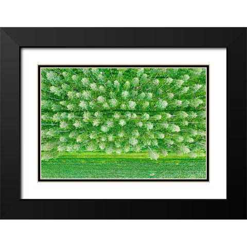 Finlandia-Savonlinna-forest Black Modern Wood Framed Art Print with Double Matting by Molinari, Michele