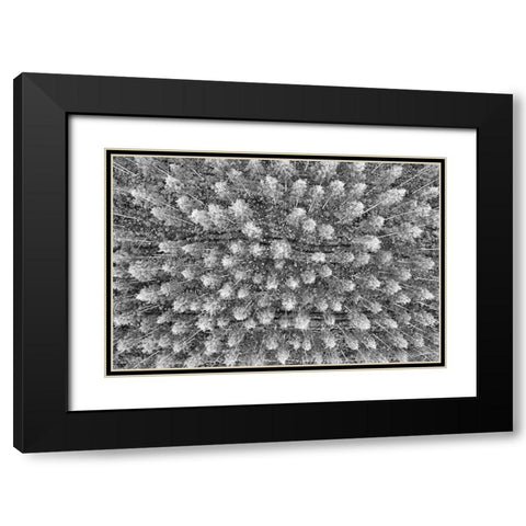 Finlandia-Savonlinna-forest Black Modern Wood Framed Art Print with Double Matting by Molinari, Michele