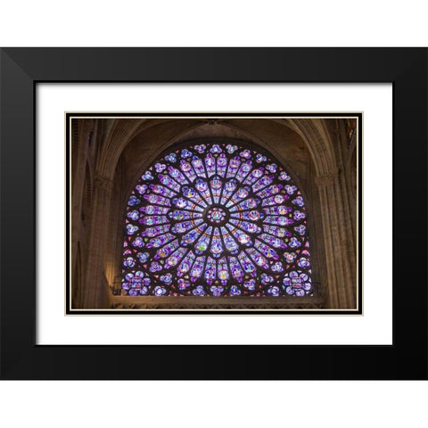 France, Paris Notre Dame Cathedral interior Black Modern Wood Framed Art Print with Double Matting by Zuckerman, Jim