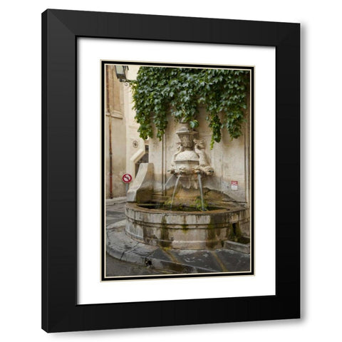 France, Provence, Water fountain on street corner Black Modern Wood Framed Art Print with Double Matting by Lord, Fred