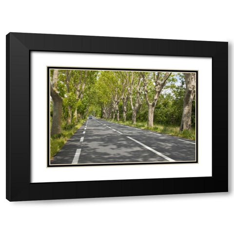 France, Provence Cars on tree-lined street Black Modern Wood Framed Art Print with Double Matting by Lord, Fred