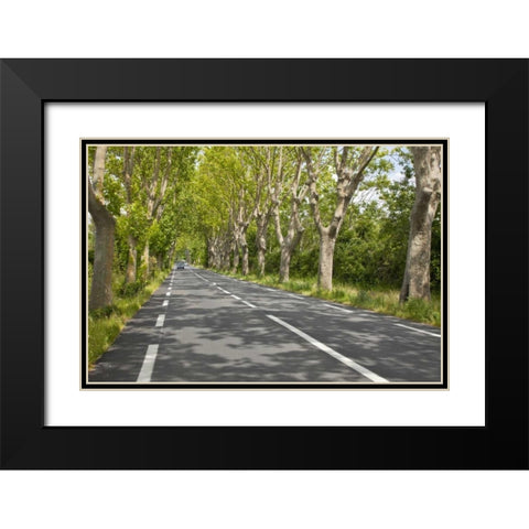 France, Provence Cars on tree-lined street Black Modern Wood Framed Art Print with Double Matting by Lord, Fred