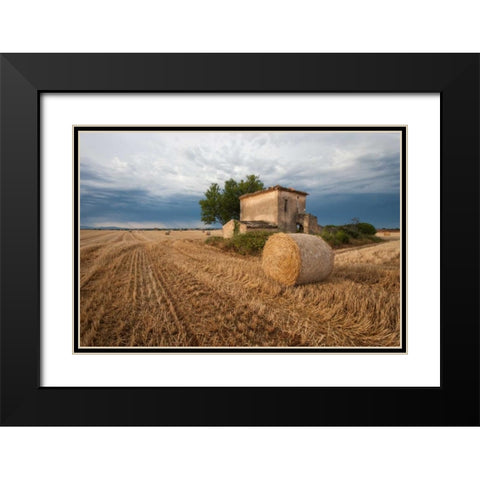 Europe, France Hay bale in Provence field Black Modern Wood Framed Art Print with Double Matting by Anon, Ellen