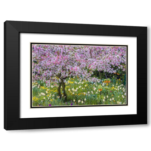 France, Giverny spring in Claude Monets garden Black Modern Wood Framed Art Print with Double Matting by Needle, Charles