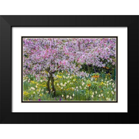 France, Giverny spring in Claude Monets garden Black Modern Wood Framed Art Print with Double Matting by Needle, Charles