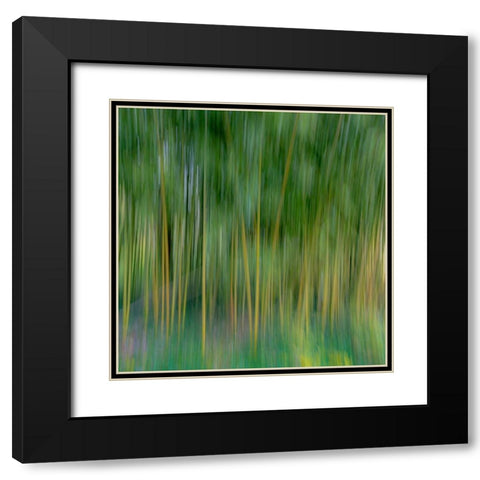 France-Giverny Abstract of bamboo forest in Monets Garden  Black Modern Wood Framed Art Print with Double Matting by Jaynes Gallery
