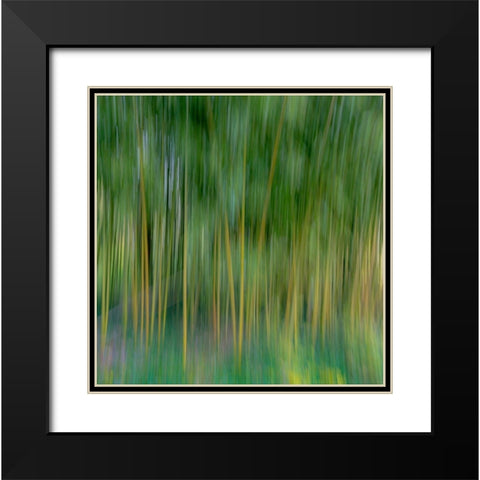 France-Giverny Abstract of bamboo forest in Monets Garden  Black Modern Wood Framed Art Print with Double Matting by Jaynes Gallery