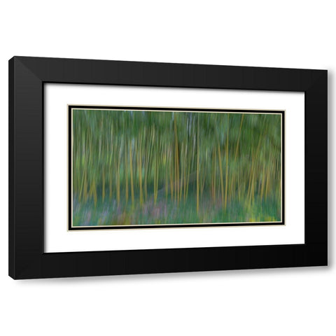 France-Giverny Abstract of bamboo forest in Monets Garden  Black Modern Wood Framed Art Print with Double Matting by Jaynes Gallery