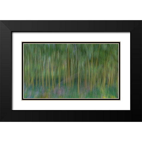 France-Giverny Abstract of bamboo forest in Monets Garden  Black Modern Wood Framed Art Print with Double Matting by Jaynes Gallery