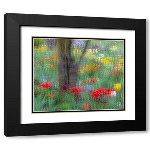 France-Giverny Impression of flowers in Monets Garden  Black Modern Wood Framed Art Print with Double Matting by Jaynes Gallery
