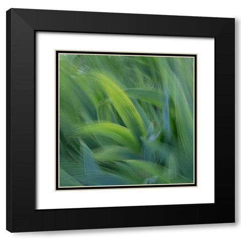 France-Giverny Abstract of green leaves  Black Modern Wood Framed Art Print with Double Matting by Jaynes Gallery