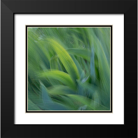 France-Giverny Abstract of green leaves  Black Modern Wood Framed Art Print with Double Matting by Jaynes Gallery