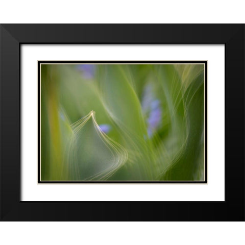 France-Giverny Abstract of green leaves  Black Modern Wood Framed Art Print with Double Matting by Jaynes Gallery