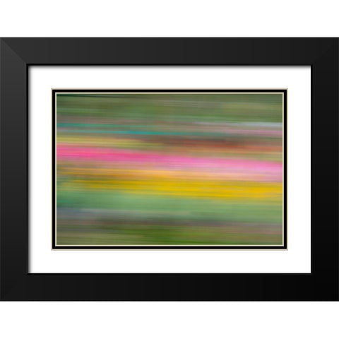 France-Giverny Abstract of flowers in Monets Garden  Black Modern Wood Framed Art Print with Double Matting by Jaynes Gallery
