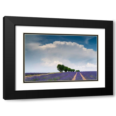 Europe-France-Provence-Valensole Plateau-Clouds over rows of lavender and trees Black Modern Wood Framed Art Print with Double Matting by Jaynes Gallery