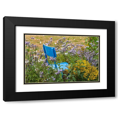 France-Haute-Vienne-Limoges Flowers and a chair in a garden in Limoges Black Modern Wood Framed Art Print with Double Matting by Wilson, Emily
