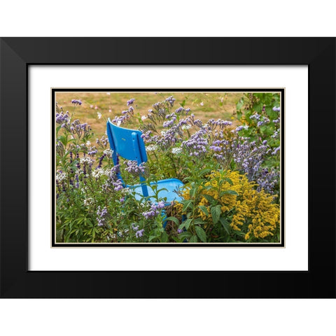 France-Haute-Vienne-Limoges Flowers and a chair in a garden in Limoges Black Modern Wood Framed Art Print with Double Matting by Wilson, Emily