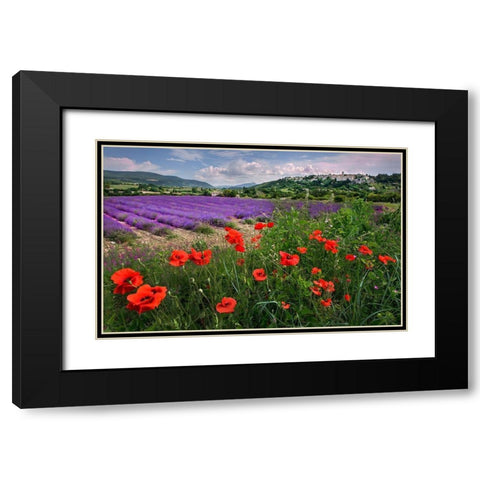 Lavender bloom near Sault in the south of France Black Modern Wood Framed Art Print with Double Matting by Steve Mohlenkamp