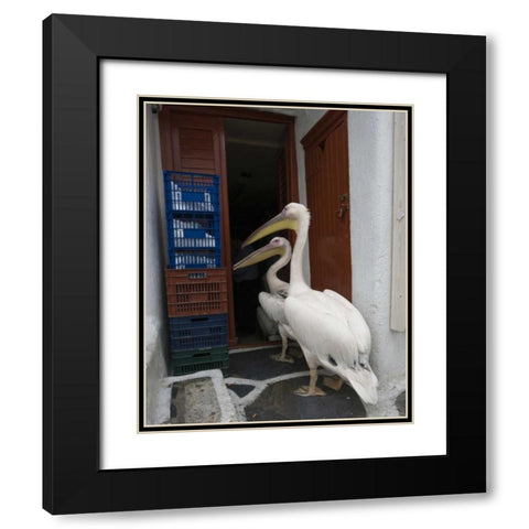 Greece, Mykonos, Hora Two pelicans in restaurant Black Modern Wood Framed Art Print with Double Matting by Young, Bill