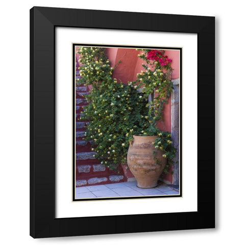 Greece, Santorini Pot with honeysuckle vine Black Modern Wood Framed Art Print with Double Matting by Young, Bill