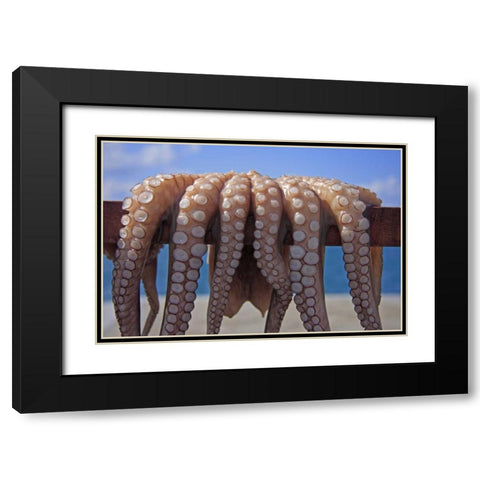 Greece, Cyclades Fresh caught octopus drying Black Modern Wood Framed Art Print with Double Matting by Noble Gardner, Nancy