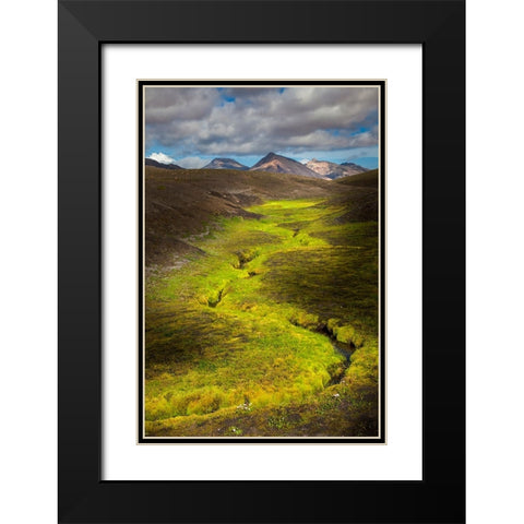 Colorful lichen along small stream in the mountains-Iceland Black Modern Wood Framed Art Print with Double Matting by Jones, Adam