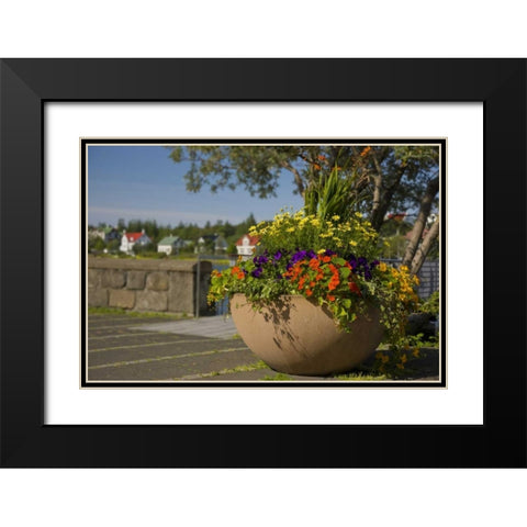 Iceland, Reykjavik A large flower-filled vase Black Modern Wood Framed Art Print with Double Matting by Grall, Don