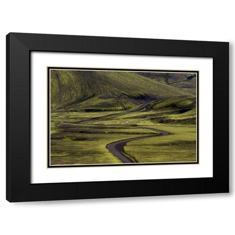 Iceland Road curves through green countryside Black Modern Wood Framed Art Print with Double Matting by Young, Bill
