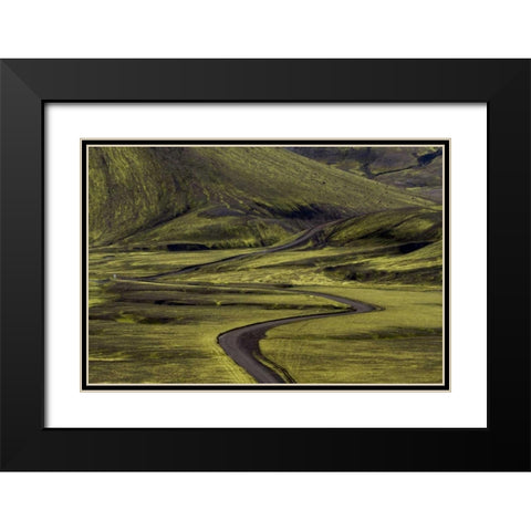 Iceland Road curves through green countryside Black Modern Wood Framed Art Print with Double Matting by Young, Bill