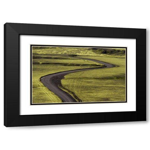 Iceland Road curves through green countryside Black Modern Wood Framed Art Print with Double Matting by Young, Bill