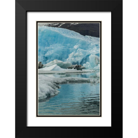 Iceland, Jokusarlon Iceberg reflects in water Black Modern Wood Framed Art Print with Double Matting by Illg, Cathy and Gordon