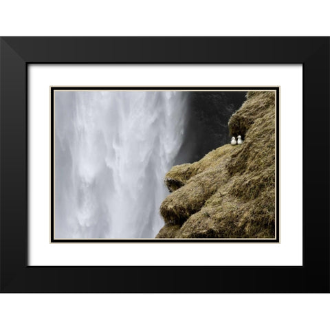 Iceland Close-up of Skogafoss waterfall Black Modern Wood Framed Art Print with Double Matting by Young, Bill