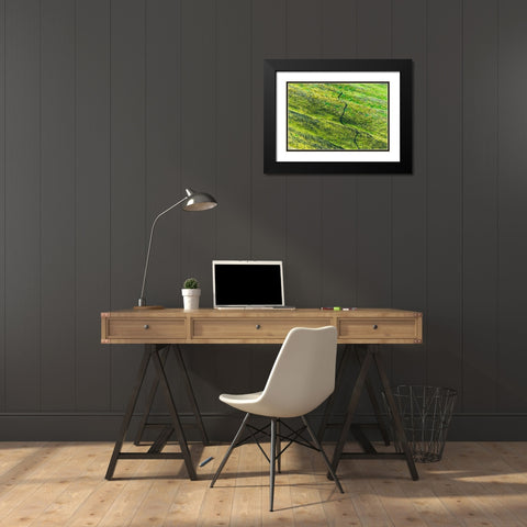 A winding path in the mountain-Landmannalaugar-Iceland Black Modern Wood Framed Art Print with Double Matting by Su, Keren