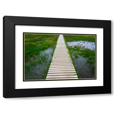 A plank pathway in Landmannalaugar-Iceland Black Modern Wood Framed Art Print with Double Matting by Su, Keren