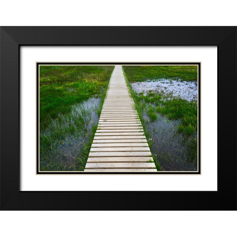 A plank pathway in Landmannalaugar-Iceland Black Modern Wood Framed Art Print with Double Matting by Su, Keren