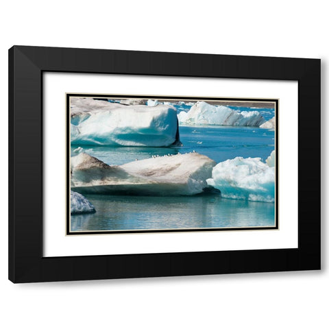 Icebergs in Jokulsarlon Glacial Lagoon-Iceland Black Modern Wood Framed Art Print with Double Matting by Su, Keren