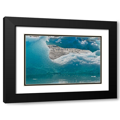 Birds on icebergs in Jokulsarlon Glacial Lagoon-Iceland Black Modern Wood Framed Art Print with Double Matting by Su, Keren