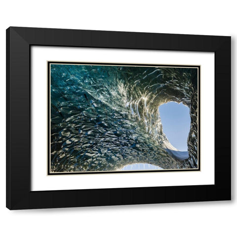 Ice cave at the northern shore of glacial lagoon Jokulsarlon in glacier Breidamerkurjokull Black Modern Wood Framed Art Print with Double Matting by Zwick, Martin
