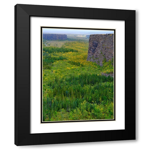 Asbyrgi canyon in Vatnajokull National Park-Iceland Black Modern Wood Framed Art Print with Double Matting by Zwick, Martin