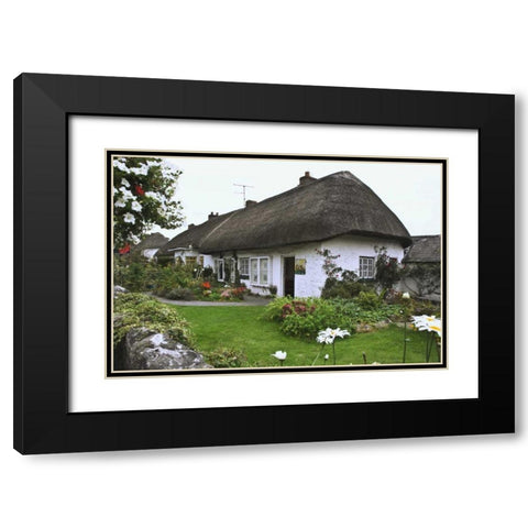 Ireland, Adare Cottage surrounded by a garden Black Modern Wood Framed Art Print with Double Matting by Flaherty, Dennis