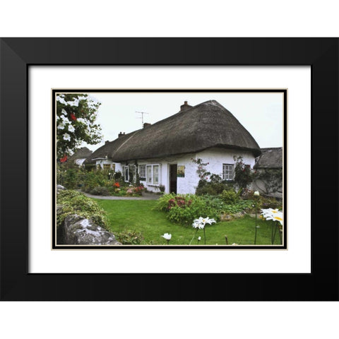 Ireland, Adare Cottage surrounded by a garden Black Modern Wood Framed Art Print with Double Matting by Flaherty, Dennis