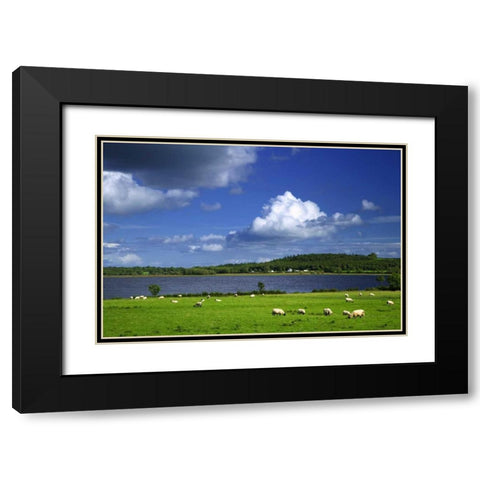 Ireland, Co Roscommon Pastoral scene of lake Black Modern Wood Framed Art Print with Double Matting by Flaherty, Dennis