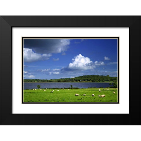 Ireland, Co Roscommon Pastoral scene of lake Black Modern Wood Framed Art Print with Double Matting by Flaherty, Dennis