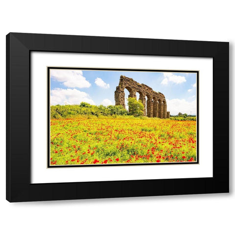 Italy-Rome Parc of the Aqueducts (Parco degli Acquedotti)-Acqua Claudio Black Modern Wood Framed Art Print with Double Matting by Jones, Alison