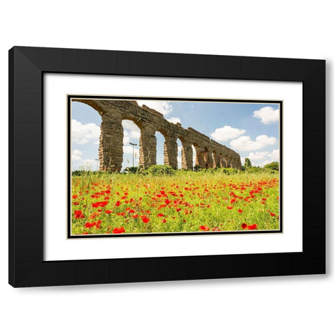 Italy-Rome Parc of the Aqueducts (Parco degli Acquedotti)-Acqua Claudio Black Modern Wood Framed Art Print with Double Matting by Jones, Alison