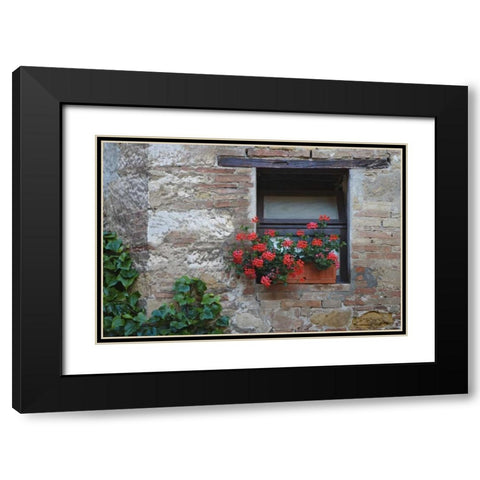 Italy, San Quirico dOrcia Flowers in a window Black Modern Wood Framed Art Print with Double Matting by Flaherty, Dennis