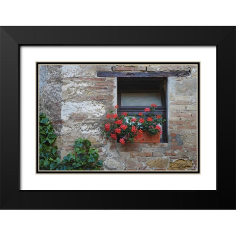 Italy, San Quirico dOrcia Flowers in a window Black Modern Wood Framed Art Print with Double Matting by Flaherty, Dennis