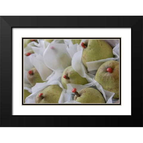 Italy, Venice Pears with red wax on stems Black Modern Wood Framed Art Print with Double Matting by Young, Bill