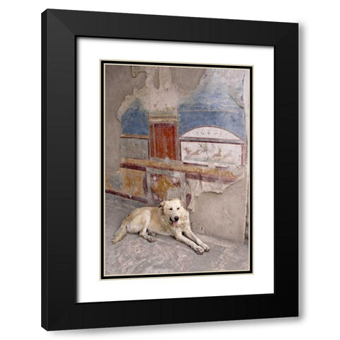 Italy, Campania, Pompeii A stray dog and fresco Black Modern Wood Framed Art Print with Double Matting by Kaveney, Wendy