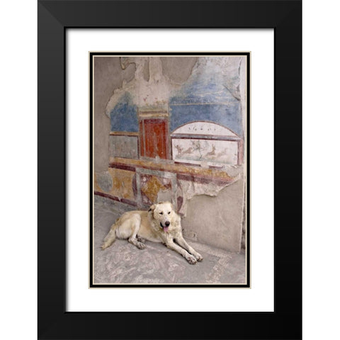 Italy, Campania, Pompeii A stray dog and fresco Black Modern Wood Framed Art Print with Double Matting by Kaveney, Wendy